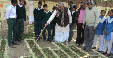 Purushottam Mishra built Madhya Pradesh's first Maths Garden