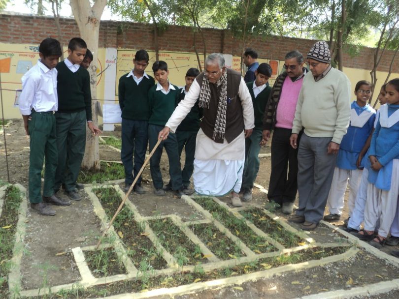 Purushottam Mishra built Madhya Pradesh's first Maths Garden