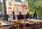 Organization on the establishment of International Human Rights Day in Chawni Plateau