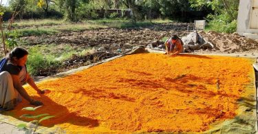 This time Hurriyare will play Holi with saffron gulal in the capital