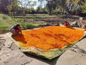 This time Hurriyare will play Holi with saffron gulal in the capital