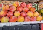 Along with the capital Bhopal, the sweetness of Bhel's mangoes reaches other states and cities.